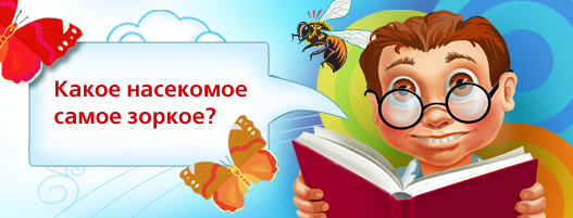 онлайн викторина для школьников