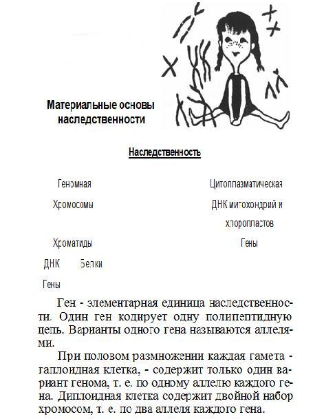 Основы Генетики