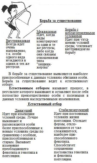 Борьба за существование и естественный отбор