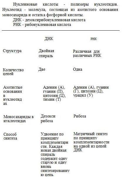 Нуклеиновые кислоты