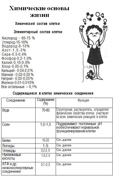 Химические основы жизни
