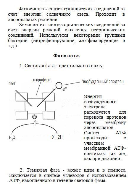 Фотосинтез и хемосинтез