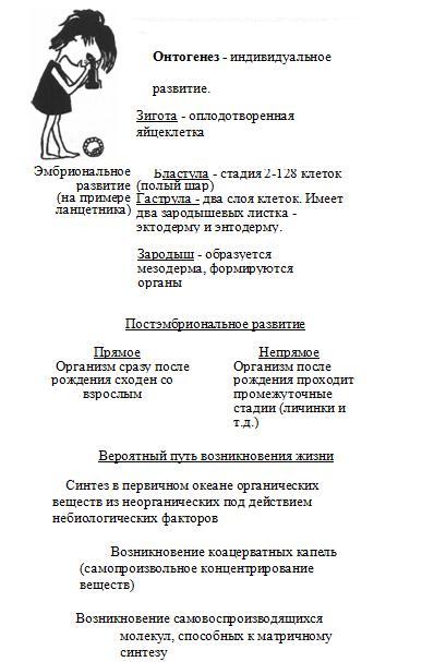 Онтогенез и возникновение жизни